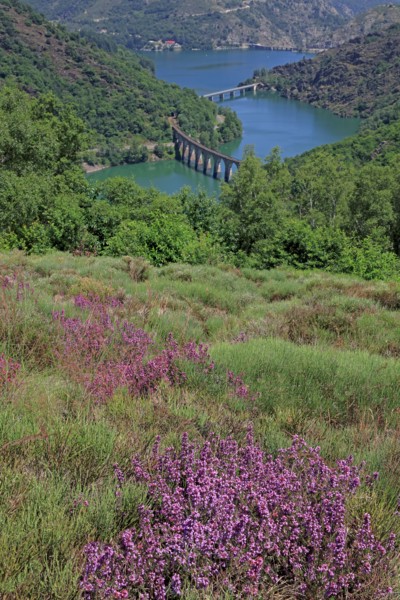 Villefort, Lozère