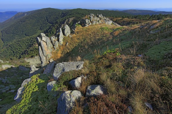 Florac, Lozère