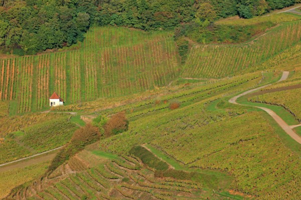 Château-Chalon, Jura