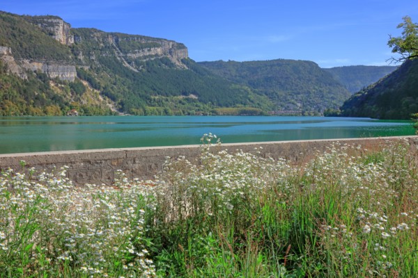 Nantua, Ain
