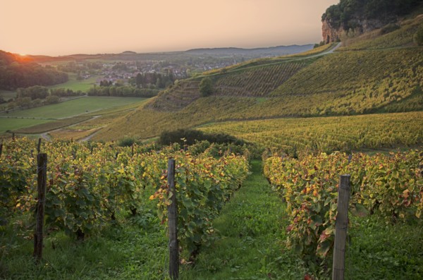 Château-Chalon, Jura