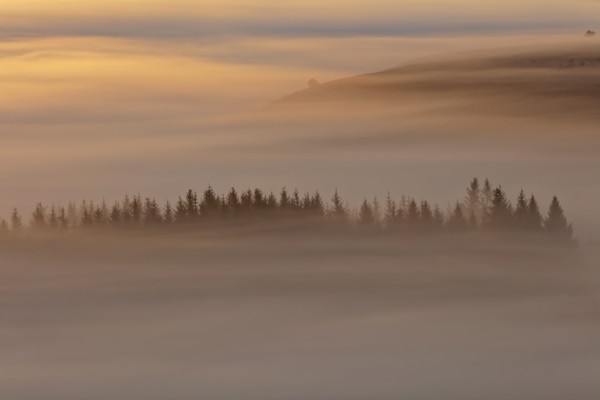 Paysage des Monts d'Arrée, Finistère
