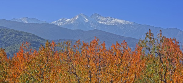 Massif du Canigou, Pyrénées-Orientales