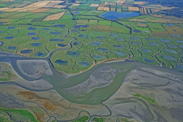 The Baie d'Authie, Somme, France