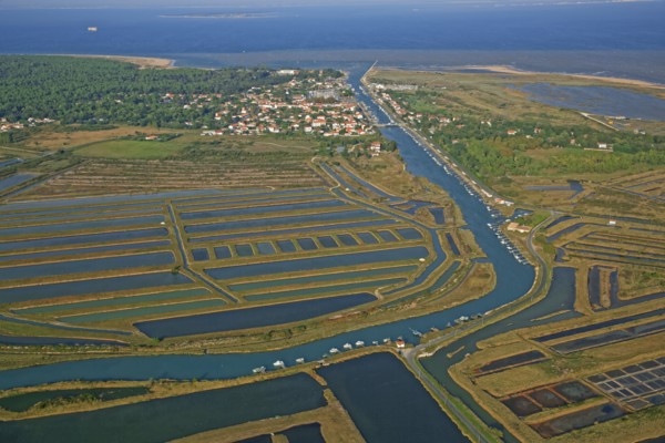 Saint-Georges-d'Oléron, Charente-Maritime, France