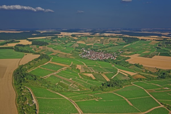Irancy, Yonne, France