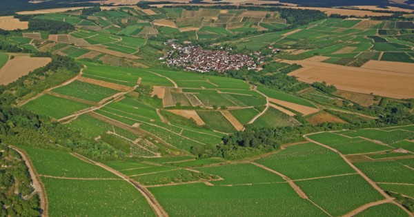 Irancy, Yonne, France