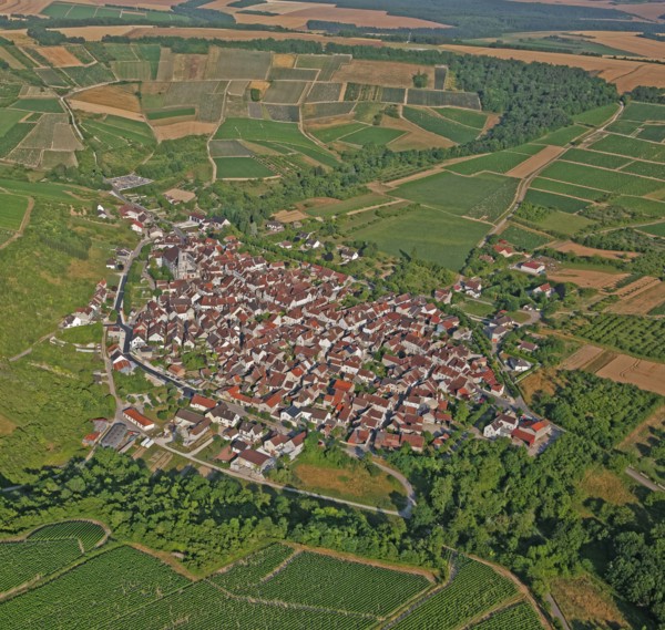 Irancy, Yonne, France