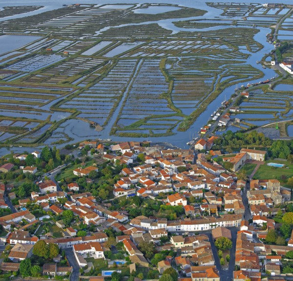 Mornac-sur-Seudre, Charente-Maritime, France