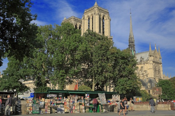 Notre-Dame de Paris et les bouquinistes
