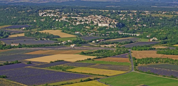 Sault, Vaucluse