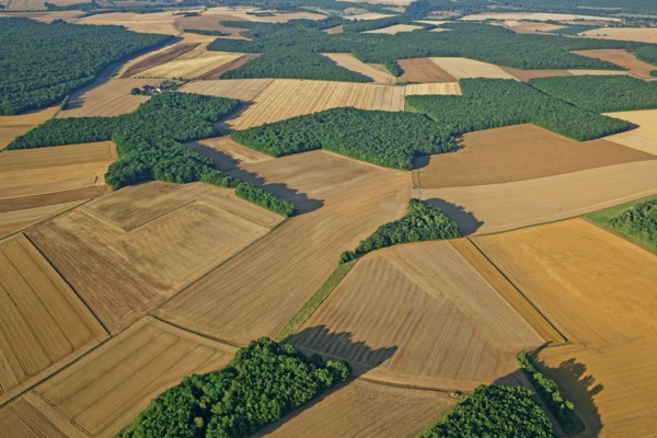 Puisaye landscape, Yonne, France