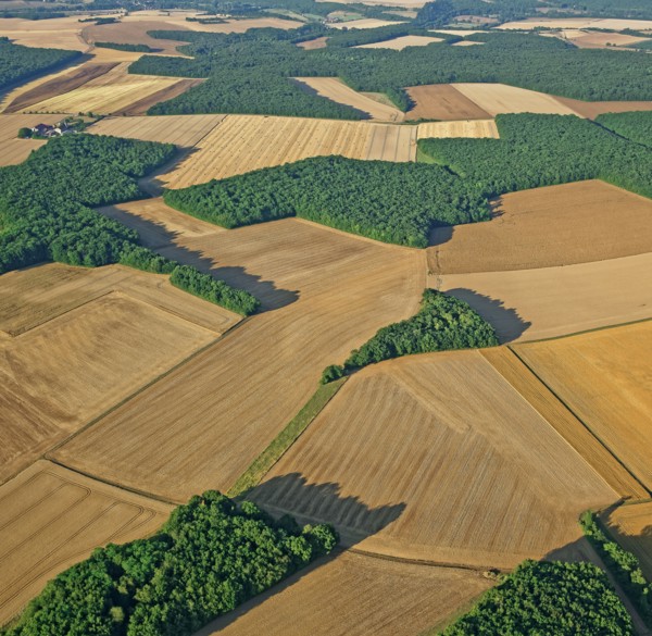 Puisaye landscape, Yonne, France