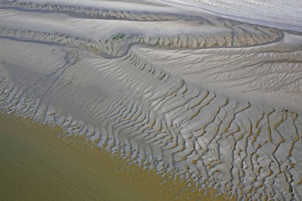 Baie d'Authie, Pas-de-Calais, France