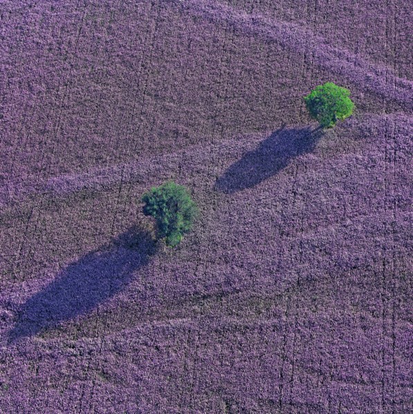 Plateau, Alpes-de-Haute-Provence, France