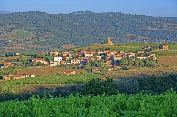 Bois-d'Oingt, Rhône