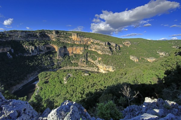 The Gorges de l'Ardèche, France