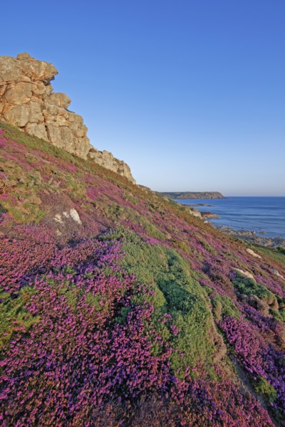 Cap de la Hague, Manche