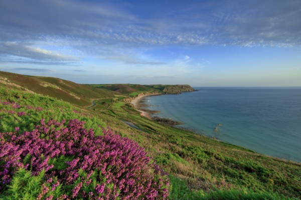 Baie d'Ecalgrain, Manche