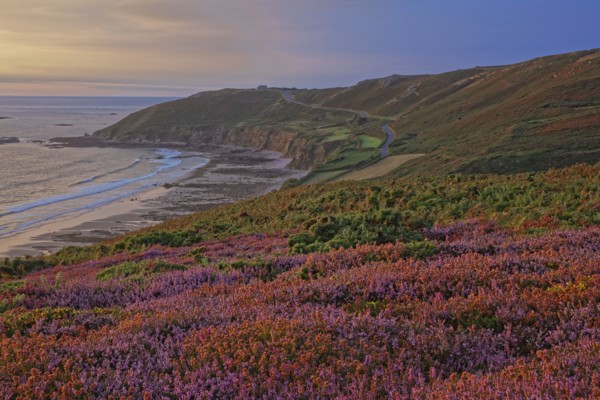 Baie d'Ecalgrain, Manche