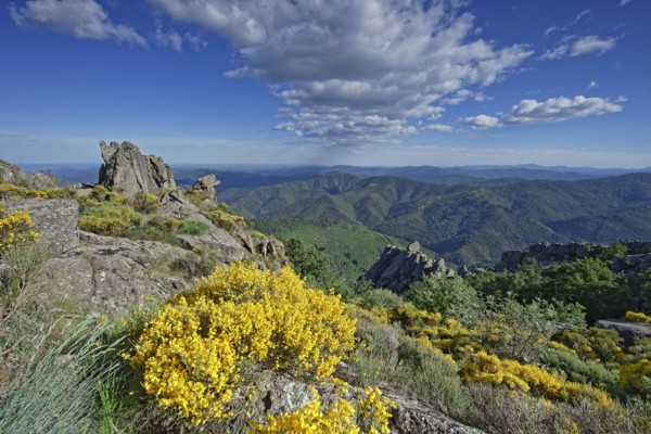 Vialas commune, Lozère, France