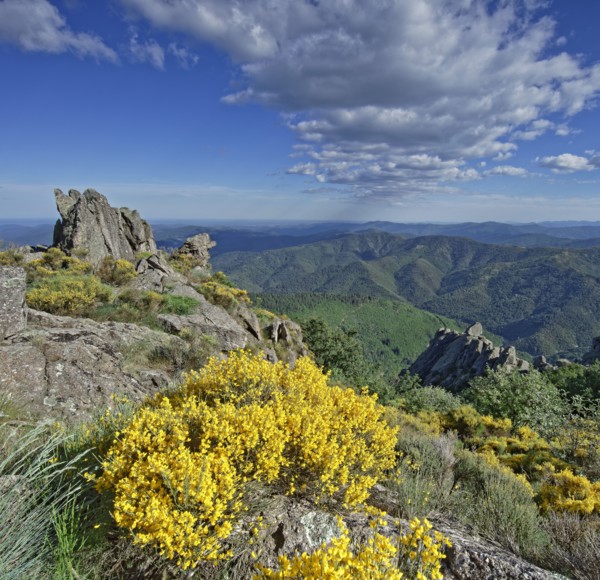 Vialas commune, Lozère, France