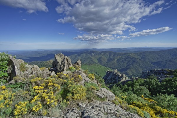 Vialas commune, Lozère, France