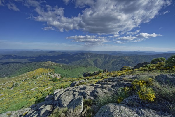 Vialas commune, Lozère, France