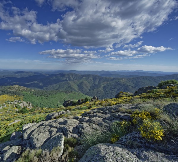 Vialas commune, Lozère, France