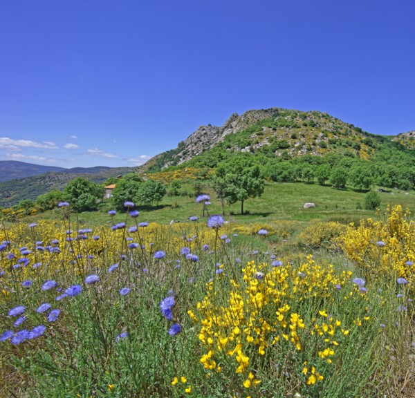 Vialas commune, Lozère, France