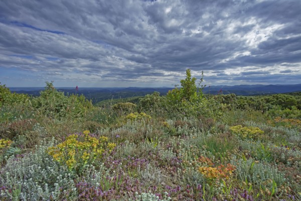 Landscape in Lozère, France