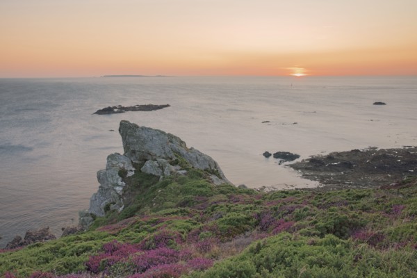 Cap de la Hague, Manche