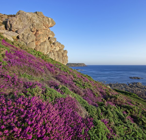 Cap de la Hague, Manche