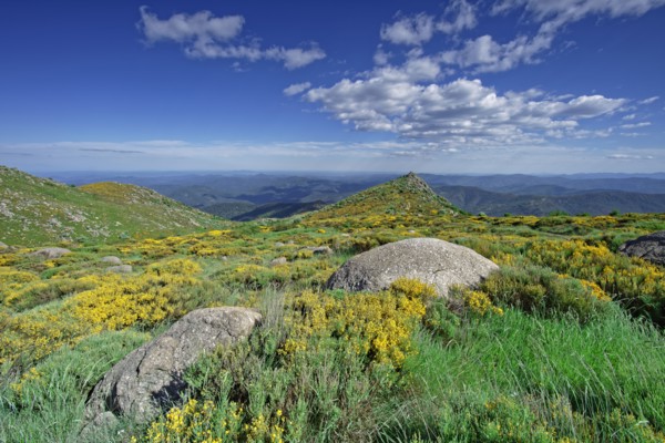Vialas commune, Lozère, France