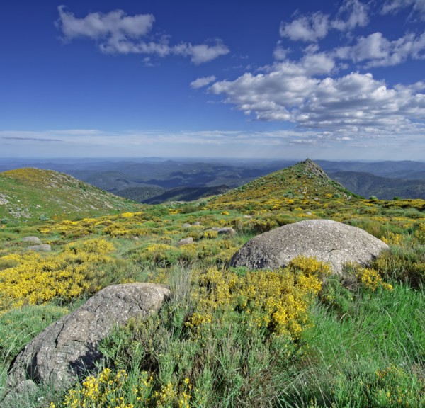 Vialas commune, Lozère, France
