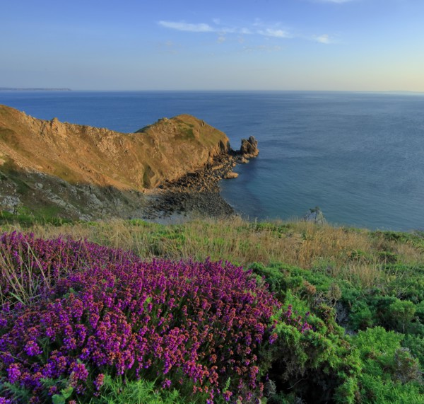 Nez de Jobourg, Manche