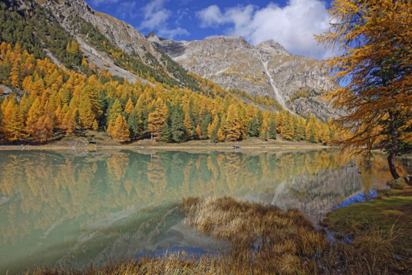 Lac de l'Orceyrette, France