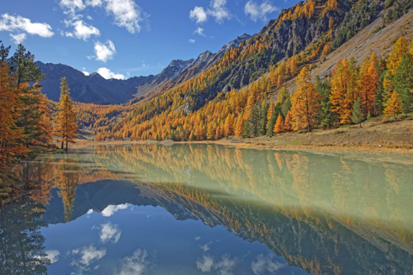 Lac de l'Orceyrette, France