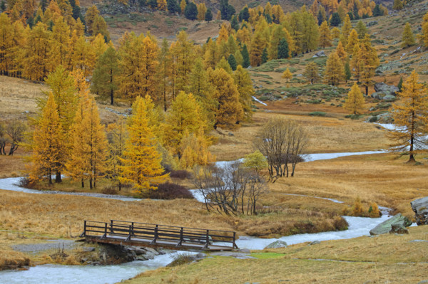 Vallée de la Clarée, Hautes-Alpes