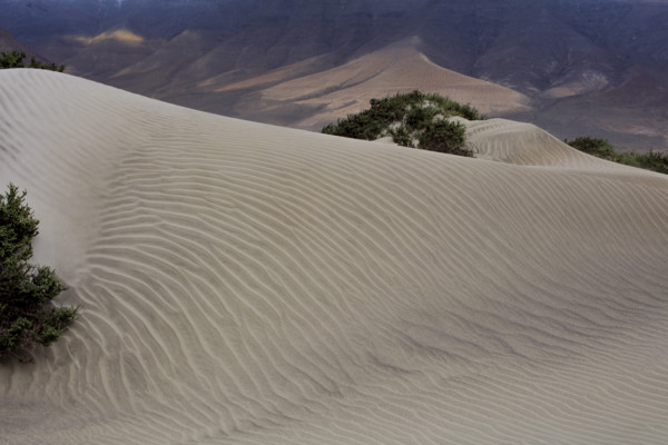 Espagne, Iles Canaries, Lanzarote, Famara, les dunes de sable blanc / Spain, Canary Islands,