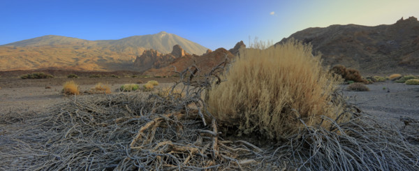 Espagne, Iles Canaries, Ténérife, Parc National Del Teide, la plaine Liano de Ucanca, au fond le