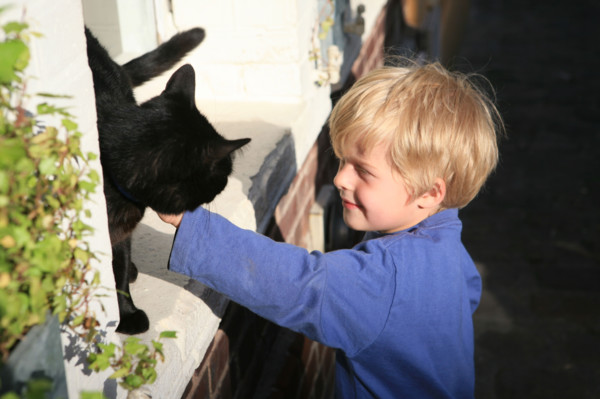 France, Normandie, calvados, Honfleur, enfant 5 ans (Felix) et petit chat noir, rue haute