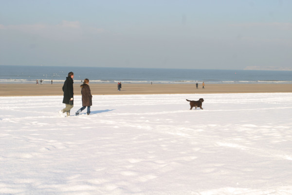 France, cote fleurie