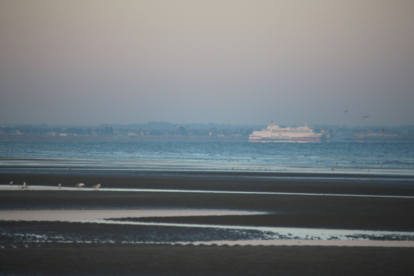 France, Basse Normandie, calvados, cabourg, plage, maree basse, vue sur un ferry compagnie brittany ferries, port de ouistreham,