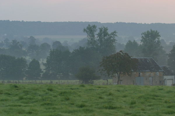 France, Basse Normandie, Calvados, bocage, paysage rural, environs du beny bocage et beauchamps