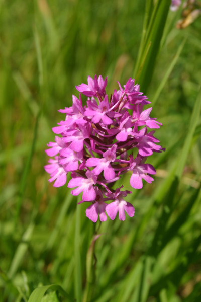 France, les andelys