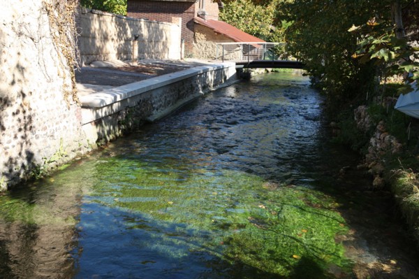 France, Haute Normandie, eure, bernay, cours d'eau, ruisseau, berges,