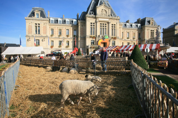 France, evreux