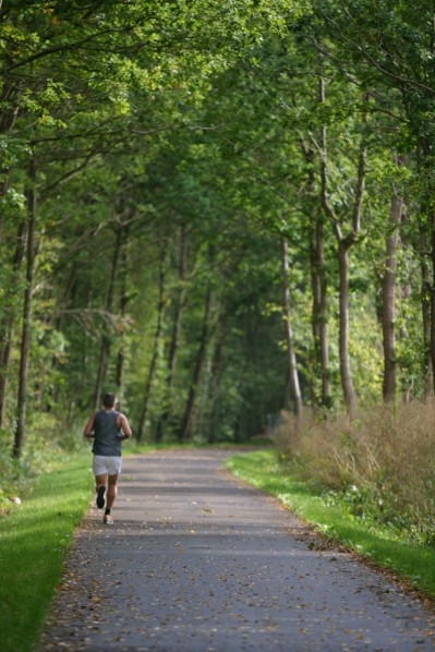 France, Haute Normandie, eure, Harcourt, bord de la voie verte, course a pied sur la voie verte, loisirs, sport, nature, jogging,