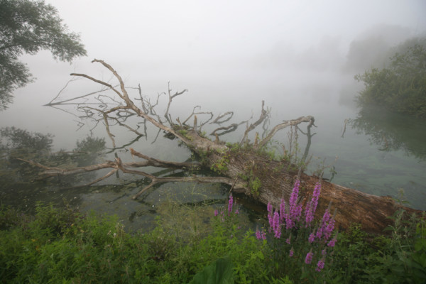 France, artificial lake